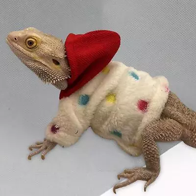 Lizard Clothes Soft Chameleon Bearded Dragon Outfit Warm Coat Lizard Costume For • $9.61