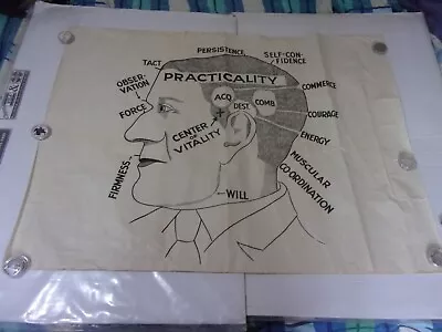 Vintage Phrenology Chart/Poster Vaught's Character Guide Size 760 Mm X 1000 Mm • $191.14