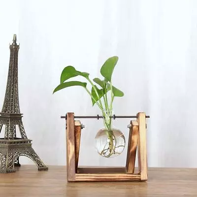 Plant Terrarium With Wooden Stand Air Planter Bulb Glass Vase Metal Swivel • $14.69