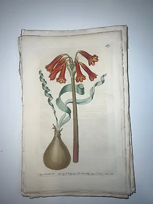 £17.70 • Buy 19th Century Edwards Botanical Register Hand Colored Engraving Flowers #167