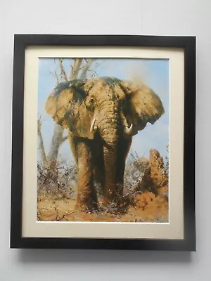 David Shepherd Elephant Print FRAMED • £25.95