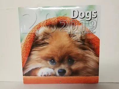 2019 Dog Calendar 16 Months   24 X 24  • $8