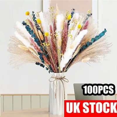 Natural Dried Pampas Grass Tall Real Flowers Home Decor Bouquet Reeds Wheat 100x • £10.89