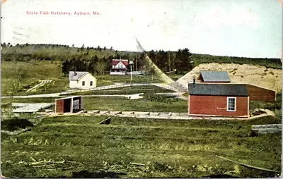 1910 State Fish Hatchery AUBURN Maine Postcard • $5