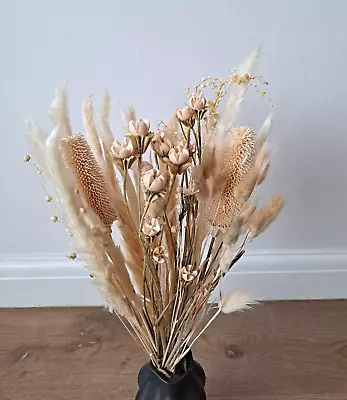 24 Stems Dried Natural Pampas Grass Reed Flowers Approx 60cm Length • £5.99