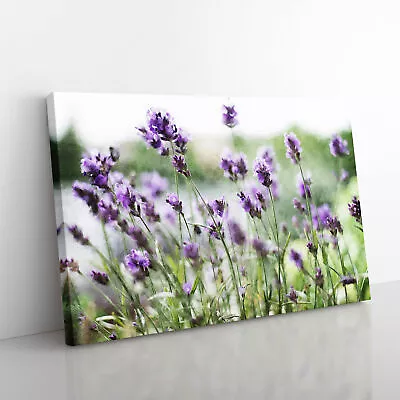 Lavender Vol.1 Canvas Wall Art Print Framed Picture Decor Living Room Bedroom • £29.95