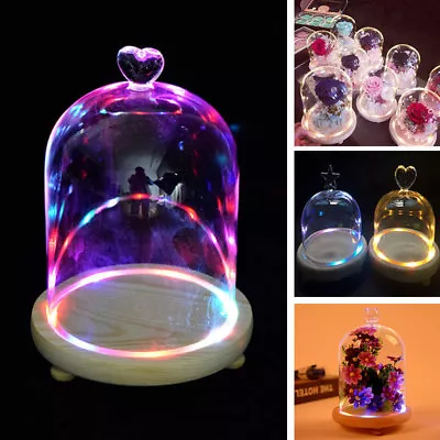£9.95 • Buy Glass Dome Bell Jar Cloche Cover Flowers Toys Display Stand With LED Wooden Base