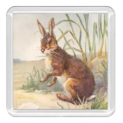 Hare Wildlife  Nature Acrylic Coaster Novelty Drink Cup Mat Great Gift • £3.49