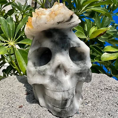 1.85LB Natural Crystal Cluster Quartz Mineral Specimen Hand Carved Skull • $0.99