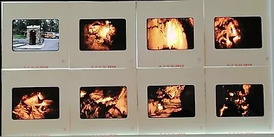 Vintage 1959 35mm Slides Mammoth Cave National Park Kentucky Lot Of 8 #22132 • $19.96