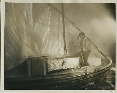 The Sea Tiger 1927 Milton Sills In Storm On Sailboat Original Photo With Snipe • $49.99