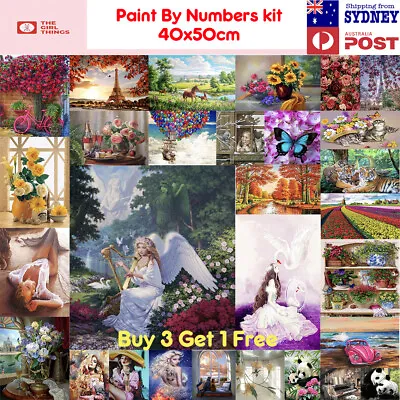 21New Paint By Numbers Kit From Australia Frameless Flower Home Decor 40cm 50cm • $17.95