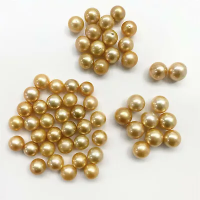 $95 • Buy Golden South Sea Pearls Loose Undrilled Button Shapes 14mm, 15mm, 16mm, 17mm 