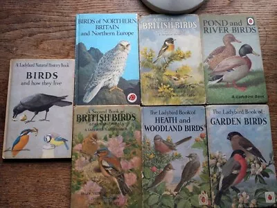 Ladybird Books Series 777 Read It Yourself   536 + Various Others • £10