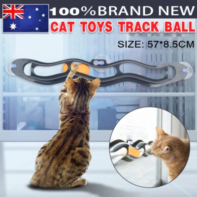 $12.52 • Buy Window Suction Cup Funny Cat Toys Track Bal Cat Pet Toy Interactive Track Ball