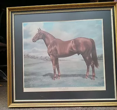 Large Vintage MAN O' WAR  Race Horse PRINT SIGNED Framed • $400