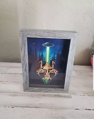 Praymantis Framed Taxidermy Picture Ufo Wall Art Spaceship Alien Home Decor • $120