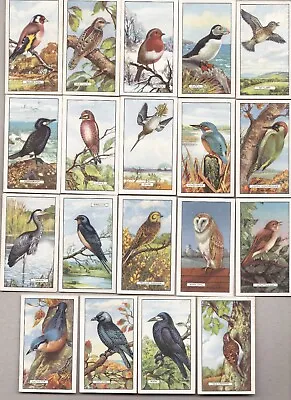 Gallaher      1937 British Birds Complete Set 48 • £3.35