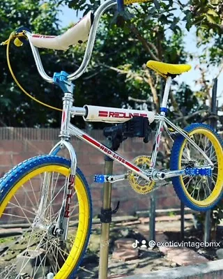 Rare Old School Vintage BMX 1980 20” REDLINE PRO LINE TT 19.5” • $3288