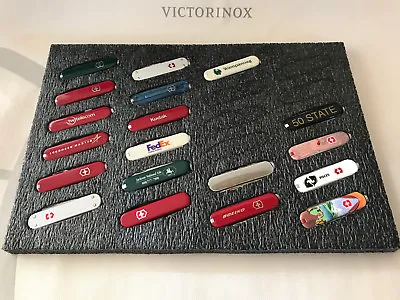 Collector 24-slot Display For Victorinox Swiss Army Knife CLASSIC 58mm BLACK • $5.99