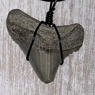 Shark Tooth Necklace With A Fossil Otodus Megalodon Tooth Found In Virginia • $7.99