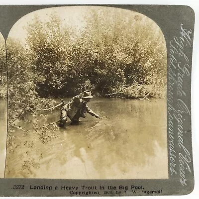 Wading Fisherman Catching Trout Stereoview C1903 Ingersoll Fishing Net Card G894 • $17.97