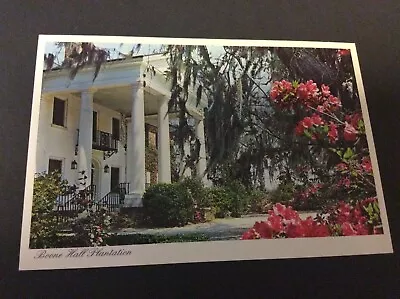 Boone Hall Plantation Mount Pleasant South Carolina 1990's Vintage Postcard  • $4.99