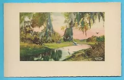 E G Barnhill Old Florida Hot Pink Color FL Print Card Water Egret Swan River Vtg • $2.75