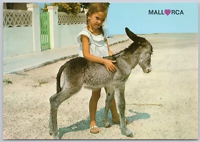 Donkey Mallorca Mediterranean Postcard • $4.38