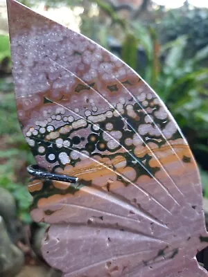 Orbicular Kabamby Ocean Jasper Butterfly Wings • £130