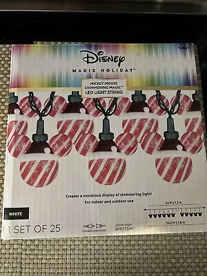 Disney Magic Holiday Mickey Mouse Shimmering Magic LED Light String 25 Lights • $64