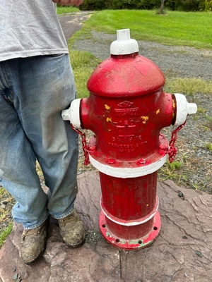 $159.99 • Buy Vtg Retired  Fire Hydrant Tciw Traverse City Michigan 1976 Yard Art Estate Find