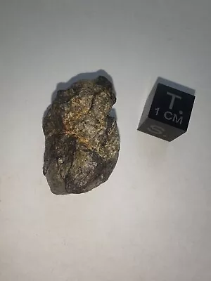 Meteorite NWA 16274 Achondrite Eucrite Slice 11.33 Grams • £10