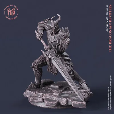 Dragon Knight  Fighter Miniature 28mm 32mm Dungeon Dragons D&D RPG • $11.99