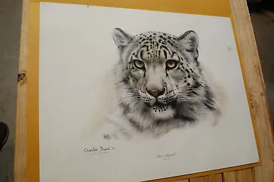 SNOW LEOPARD LIMITED ED. PENCIL SIGNED PRINT BY CHARLES FRACE Lot Of 2 • $334.99