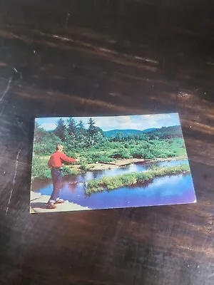 Vintage Postcard Fishing Theme By Richard K. Dean MahopacN Y. • $5