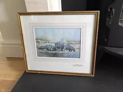 David Shepherd Hippopotamus Print • £30