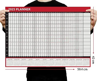 2025 A2 Size Year Wall Planner Calendar Home Office Work JAN DEC 59cm X 42cm • £3.69