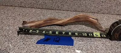 #12 Manzanita Aquarium Driftwood Reptile Perch Decor • $15