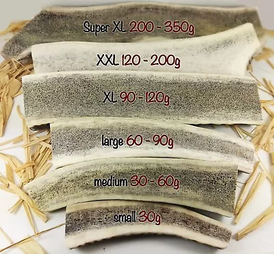 £27.50 • Buy Split Wild Antler Horn Dog Chews Small Medium Large XL...100% Natural - Calcium