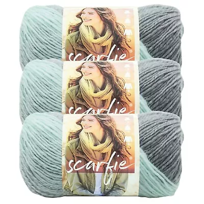 (3 Pack) Lion Brand Yarn 826-217L Scarfie Yarn Mint/Silver • $13.97