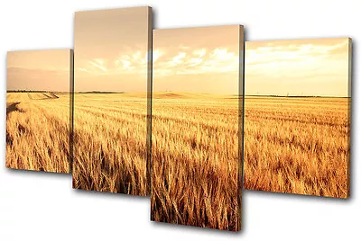 Landscapes Corn Field MULTI CANVAS WALL ART Picture Print VA • £39.99