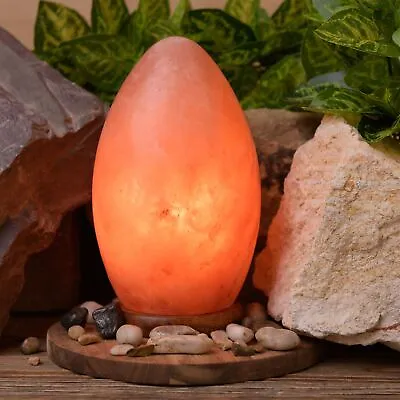 Egg Shaped Rock Salt Lamp With Wooden Base 20cm • £40