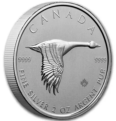2 Troy Oz 9999 Silver 2020 $10 Canada Flying Goose Bullion Coin Uncirculated • £81.31