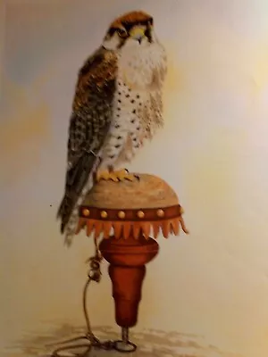 Large Print Of A Lanner Falcon. Bird Of Prey Signed By Kevin Hunt 1987 • £10