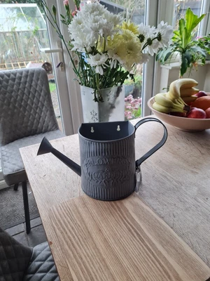 £5 • Buy Flower Pot Plant Planter Herb Planting Watering Can Shape Galvanised Metal