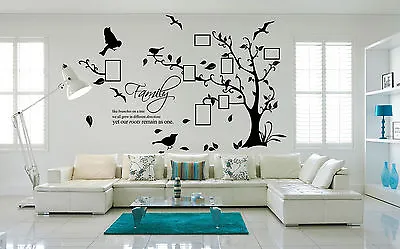 Family Tree Bird Photo Frame Wall Quote Art Wall Stickers UK   SH153 • £43.19