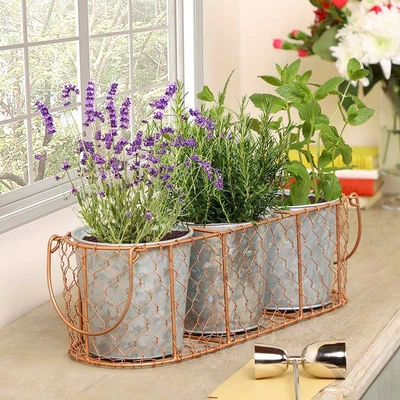£15.89 • Buy Antique Copper Metal Herb Plant Pot Planter Set Of 3 Indoor Cooking Kitchen Pots