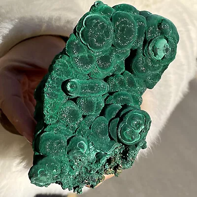 2.07LB Natural Glossy Malachite Coarse Cat's Eye Cluster Rough Mineral Sample • $0.99