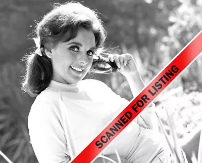 GILLIGAN'S ISLAND Dawn Wells 8x10 PHOTO #8259 • $12.95